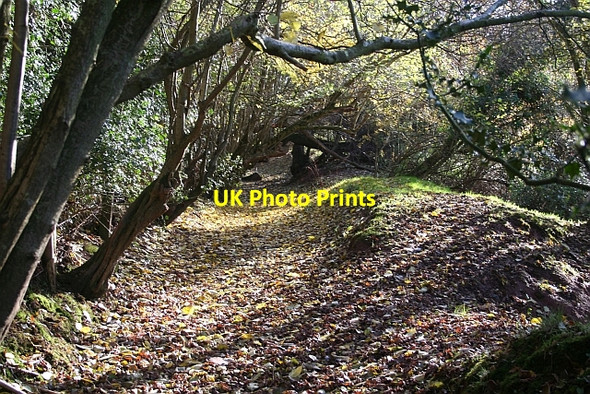 Photo 6"x4" Mill Leet, Risbury Camp Risbury\/SO5555 c2006