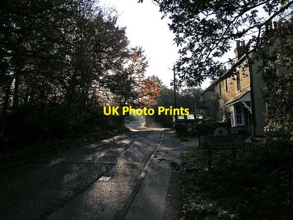 Photo 6"x4" Coopersale Common, looking East towards old railway bridge Epping c2006