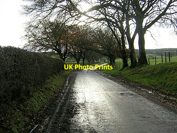 Photo 6"x4" Ardochrig Road Near Skeoch Auldhouse c2006