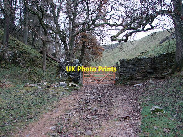 Photo 6"x4" Gate and stile on the ascent to Trow Gill Clapham\/SD7469 c2006