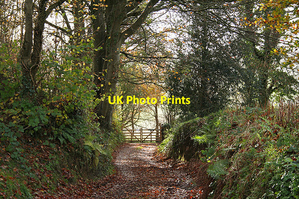 Photo 6"x4" Dalwood: on Danes Hill Dalwood c2006