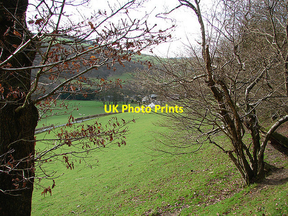 Photo 6"x4" Glyn Hafren Farm Glynhafren c2006