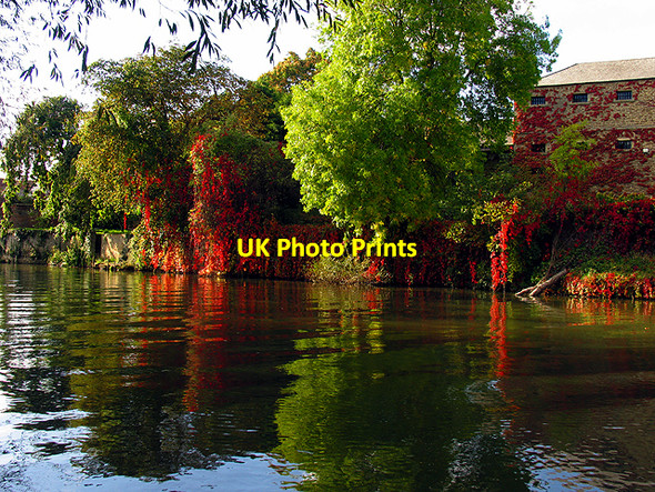 Photo 6"x4" Autumn on the Thames: Abingdon Abingdon c2006