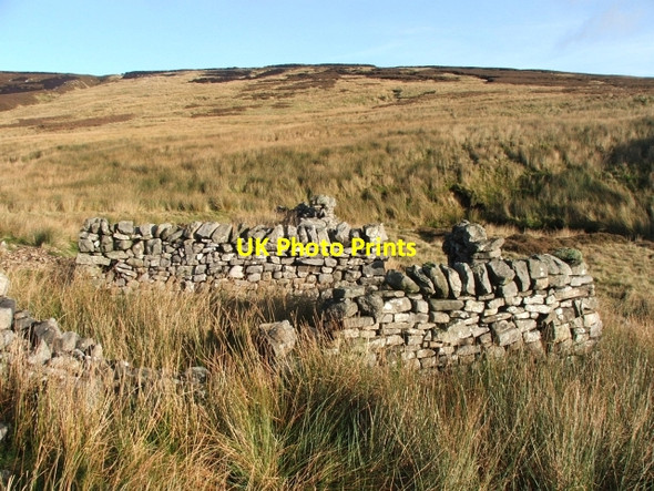 Photo 6"x4" Sheepfold at Combes Marsh. Gate Up Gill c2006