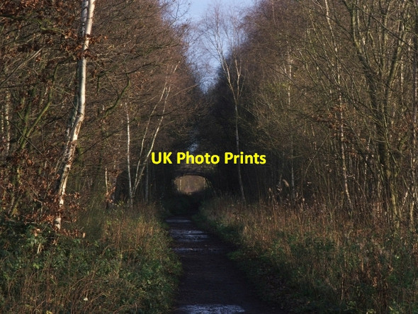 Photo 6"x4" Dismantled Railway near Notton. Royston\/SE3511 c2006