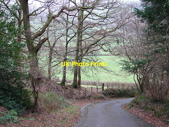 Photo 6"x4" Lane at Llanerch-yr-oen Abermagwr c2006