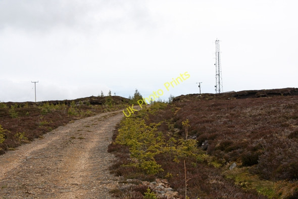 Photo 6"x4" Track to mast on Breac Leathad Allt nan Seileach\/NJ2117 c2009