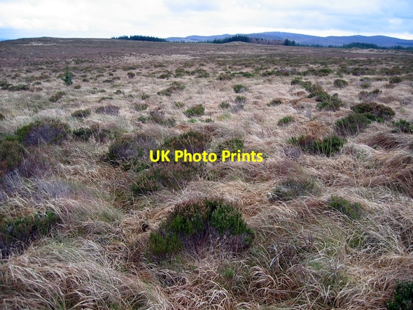 Photo 6"x4" Moorland in Glinne Bhig Peiness c2006