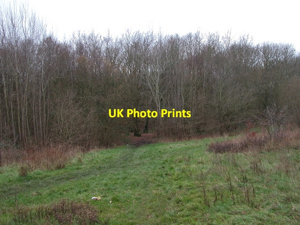 Photo 6"x4" Oxleys Coppice, Fareham Fareham c2006
