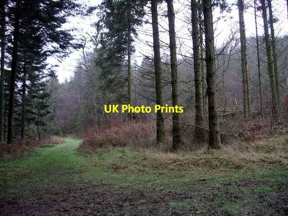 Photo 6"x4" Paths converge, Woodcockair Brydekirk c2006