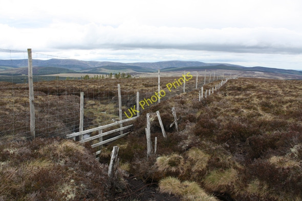 Photo 6"x4" Old & new fencing, Breac Leathad Clashnoir c2009