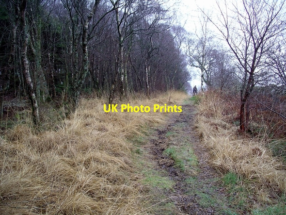Photo 6"x4" Path, Woodcockair Brydekirk c2006
