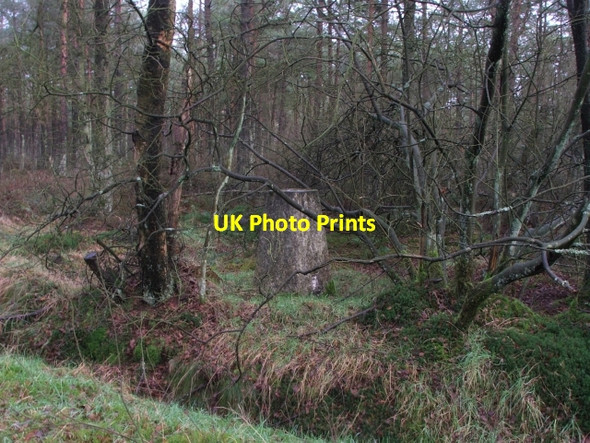 Photo 6"x4" Leaf Howe Trig Pillar. Stape c2006