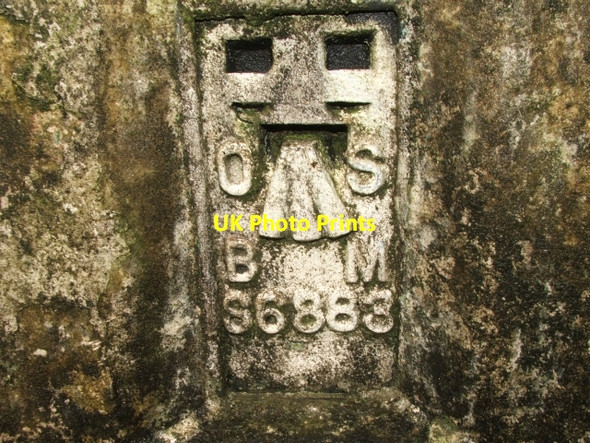 Photo 6"x4" Leaf Howe Trig Pillar. Stape c2006 P1