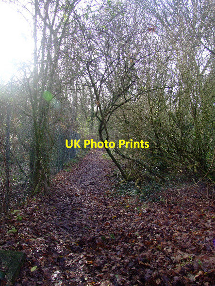 Photo 6"x4" Pathway to Hockley Woods Rayleigh c2006