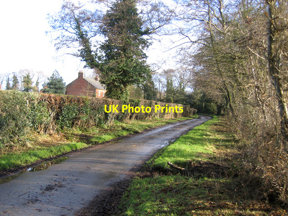 Photo 6"x4" Approach to Irstead Street, Norfolk Irstead Street c2007