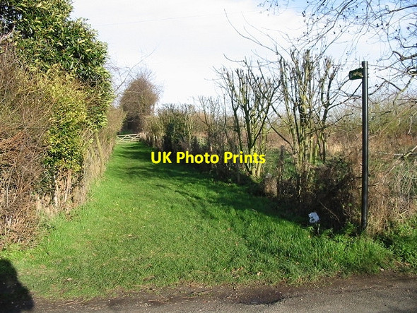 Photo 6"x4" Footpath heading NE from Bekesbourne Lane. Bekesbourne Hill c2007