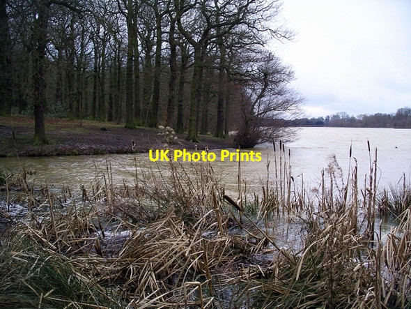 Photo 6"x4" Moorgreen reservoir looking south Friezeland c2007