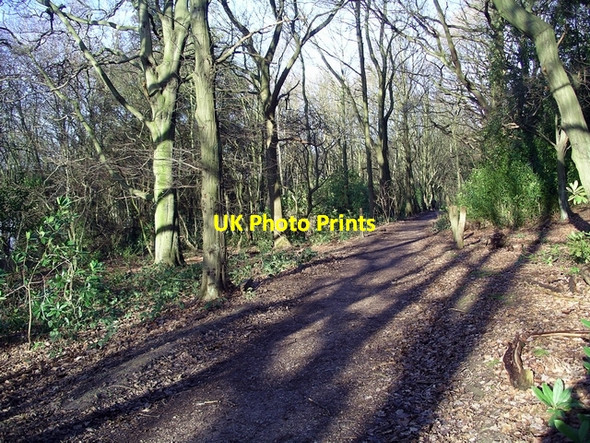 Photo 6"x4" Path by Moorgreen reservoir Eastwood\/SK4646 c2007