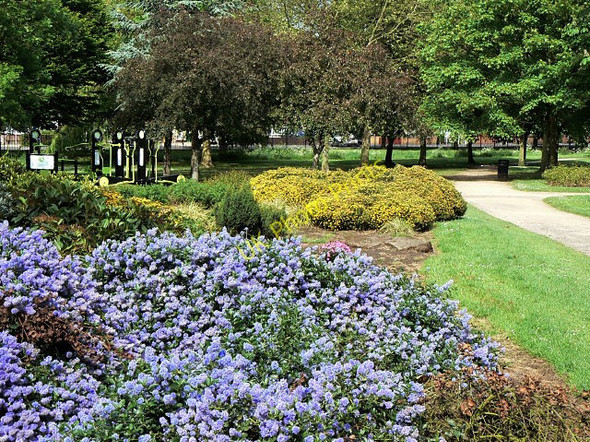 Photo 6"x4" Floral display in Central Park Clifton\/SK5434 c2009