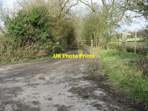 Photo 6"x4" Gated track off Woodgate. Lynsore Bottom c2007