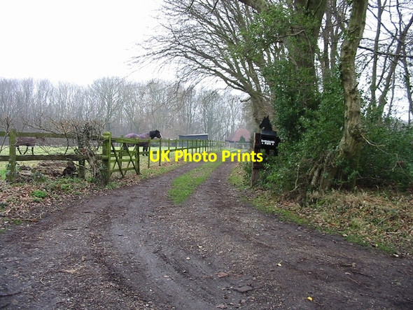 Photo 6"x4" Track leading to Horsehead Farm Marley\/TR1850 c2007