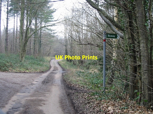 Photo 6"x4" View along road through  Covert Wood Marley\/TR1850 c2007