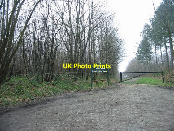 Photo 6"x4" Covert Wood, track Marley\/TR1850 c2007