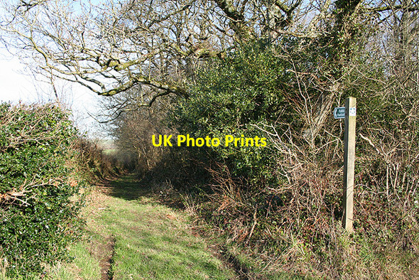 Photo 6"x4" Broadwoodkelly: public footpath Splatt\/SS6005 c2007