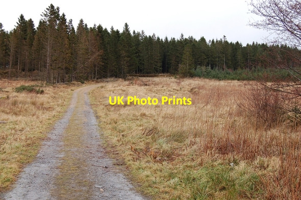 Photo 6"x4" Track in Bin Forest Cairnie\/NJ4844 c2007