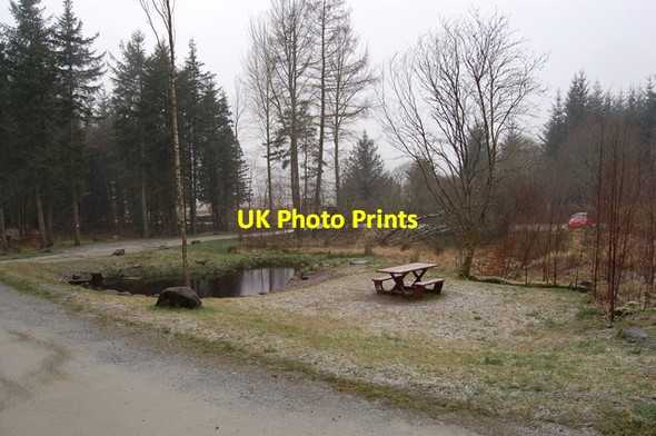 Photo 6"x4" Picnic area in Bin Forest Huntly c2007