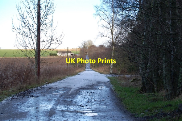 Photo 6"x4" Drive to Newton Skene Farm Lyne of Skene c2007