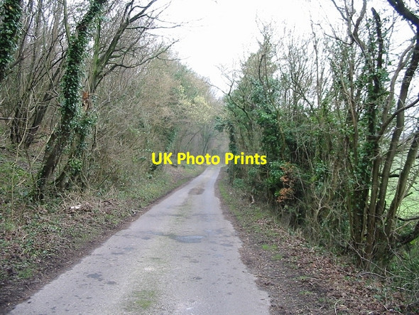 Photo 6"x4" Looking S along Pett Bottom Road Palmstead c2007