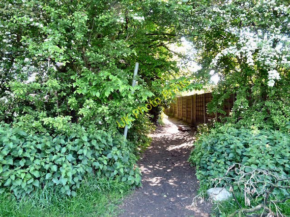 Photo 6"x4" Behind Bredbury Hall Stockport\/SJ8990 c2009