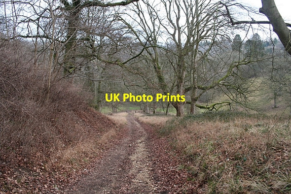 Photo 6"x4" Bridleway through the Grounds of Edgeworth Manor Edgeworth c2007