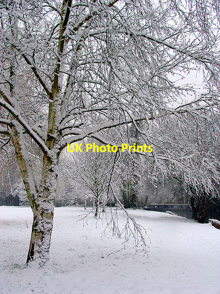 Photo 6"x4" The Banks of the Kennet and Avon Canal: Woolhampton Woolhampton c2007