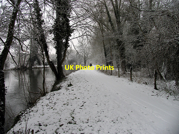 Photo 6"x4" The Wintry Towpath at Woolhampton Woolhampton c2007