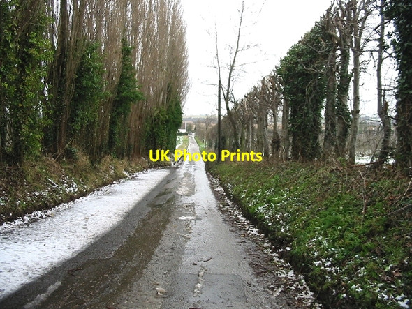 Photo 6"x4" Looking NW towards Newborns Farm Grove\/TR2361 c2007