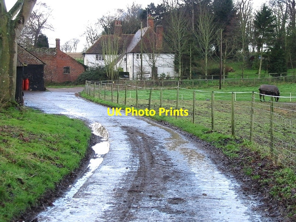 Photo 6"x4" Ileden Farm, Barham Downs Ileden c2007