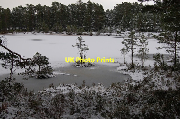 Photo 6"x4" Loch an Eilein Doune\/NH8809 c2007