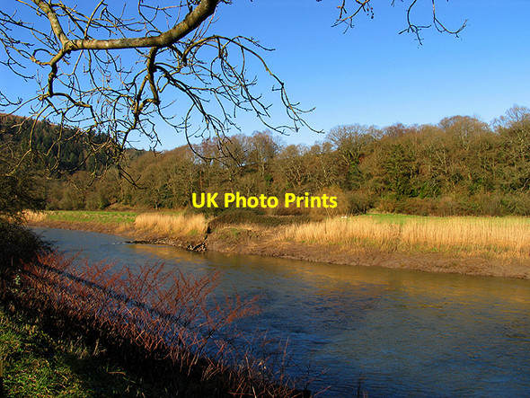 Photo 6"x4" River Wye at Tintern Abbey Chapel Hill\/SO5200 c2007