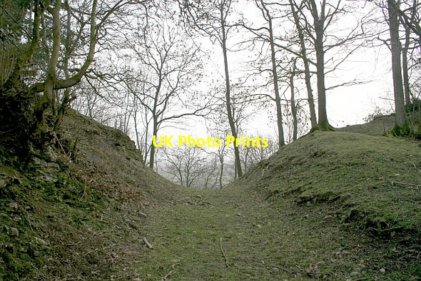 Photo 6"x4" Old Road to Rushall, Hooper's Oak Rushall\/SO6434 c2007