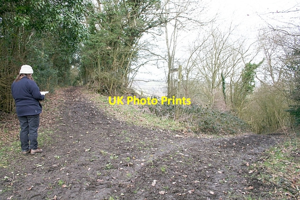 Photo 6"x4" Junction of Paths on Marcle Hill Rushall\/SO6434 c2007