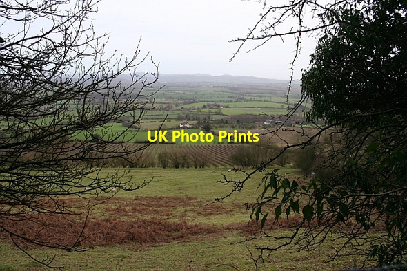 Photo 6"x4" Little Hill from Marcle Hill Rushall\/SO6434 c2007