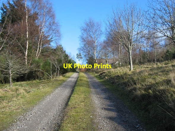Photo 6"x4" Track to Craigiewood Kilmuir\/NH6749 c2007