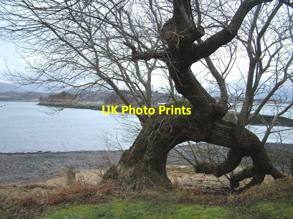 Photo 6"x4" South Shian South Shian c2007