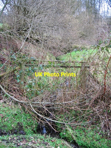 Photo 6"x4" Small Stream Sodom\/SJ0971 c2007