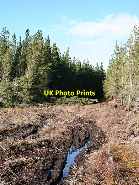 Photo 6"x4" Hill of Maud Drybridge\/NJ4362 c2007