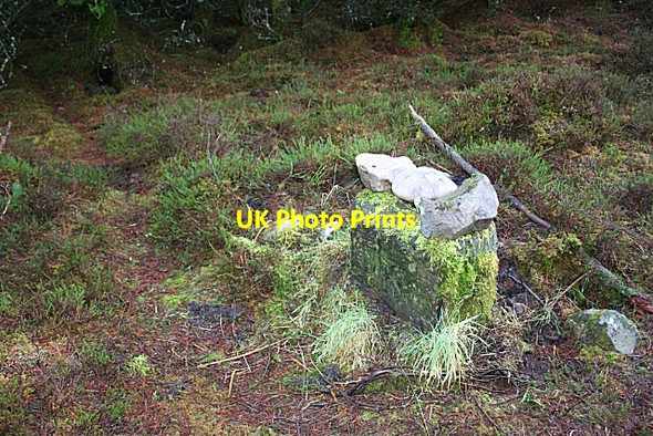 Photo 6"x4" Boundary Stone Drybridge\/NJ4362 c2007