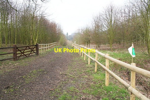 Photo 6"x4" Horse Ride, Hope End Loxter c2007